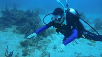 Erkunden Sie die Tiefen des Abenteuers: Tauchen rund um Phuket