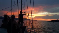  Full-day cruise (7h) | Verona