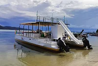  Khanom Pink Dolphin Watching (5h) | Mademoiselle