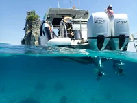  Phi Phi Island (8h) | Animo
