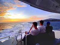  Phi Phi Island (8h) | Animo