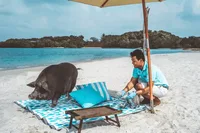  Koh Taen (afternoon 4h) | Emerald