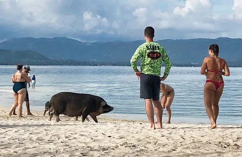 Beautiful scenery at Koh Madsum (Pig Island, Koh Mutsum) - 