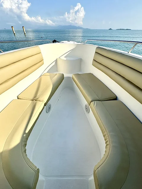   | 39ft Seat Boat | 