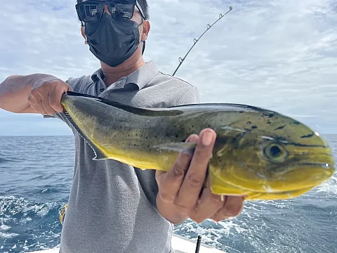  Phi Phi Island (8h) | Catcher