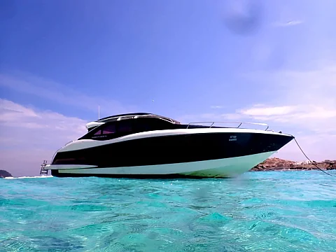  Phi Phi Island (8h) | Animo