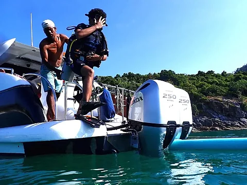  Phi Phi Island (8h) | Animo