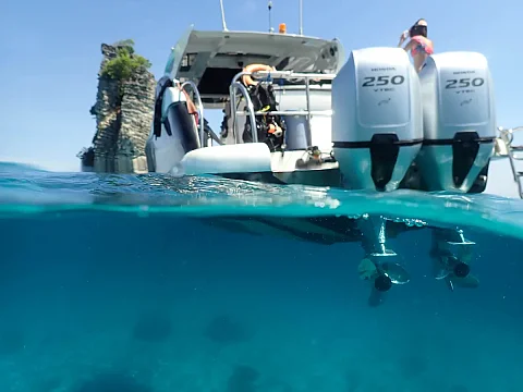  Phi Phi Island (8h) | Animo