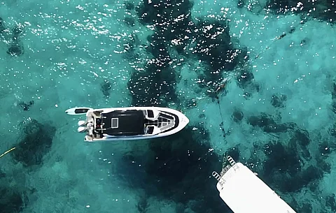  Phi Phi Island (8h) | Animo