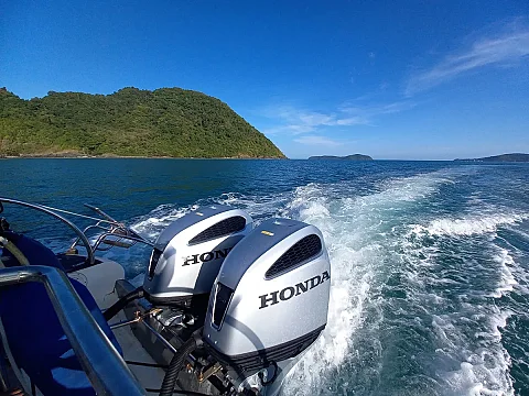  Phi Phi Island (8h) | Animo