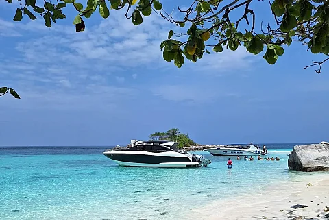  Phi Phi Island (8h) | Animo