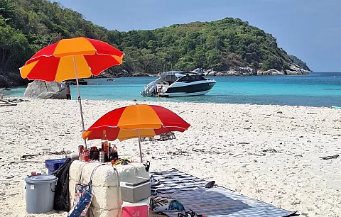  Phi Phi Island (8h) | Animo