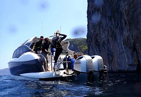  Phi Phi Island (8h) | Animo