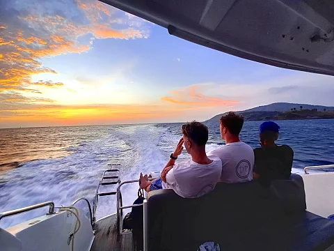  Phi Phi Island (8h) | Animo