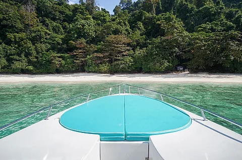  Phi Phi Islands (8h) | Premium Speedboat Blue