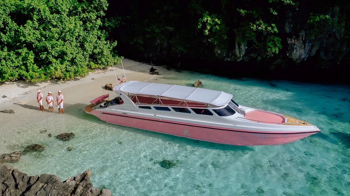 Speedboat Pink Dolphin
