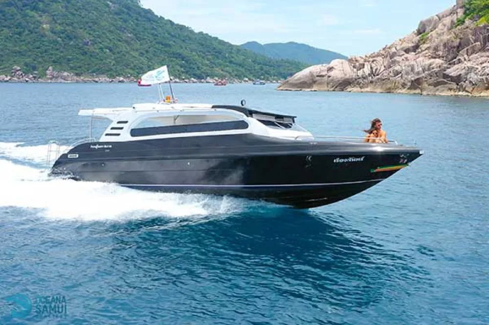 Khanom Pink Dolphin Watching (8h)